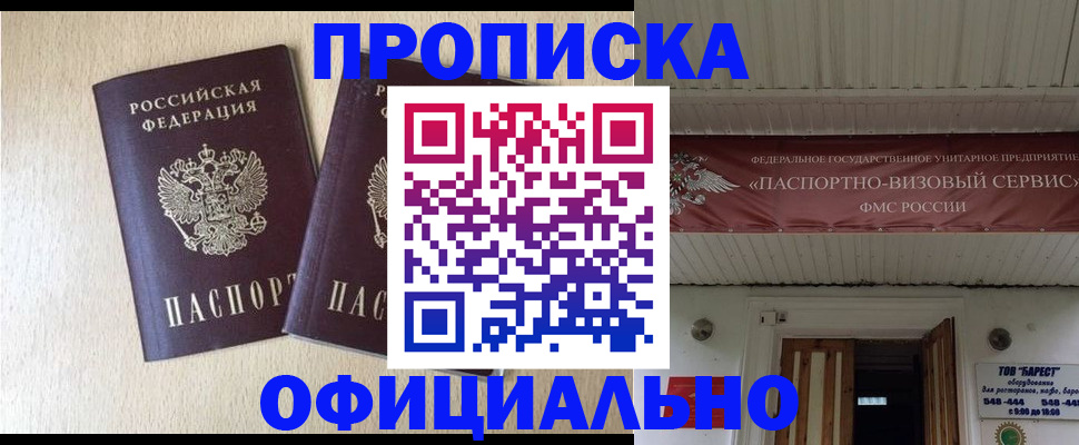 прописка поиск в Амурской области